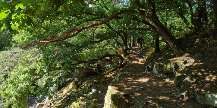 Les Gorges de Villiers